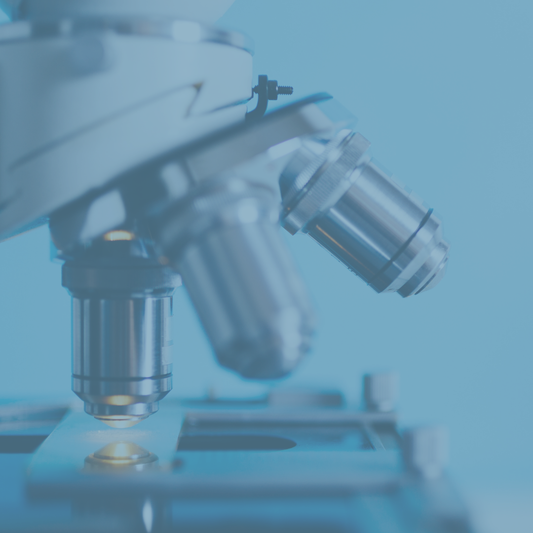 Parabenfreie Kosmetik: Warum natürliche Pflege ohne Parabene besser für dich ist