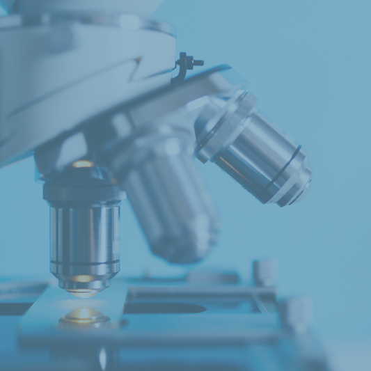 Parabenfreie Kosmetik: Warum natürliche Pflege ohne Parabene besser für dich ist